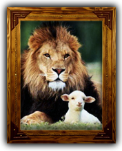 New Jersey Anger Management